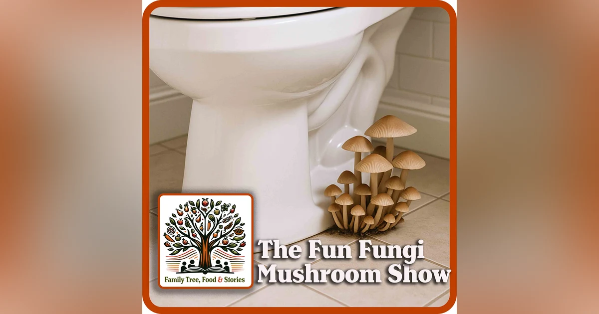Fall Mushroom Show:  Shiitake, Truffle Hustles, the People's Mushroom and more