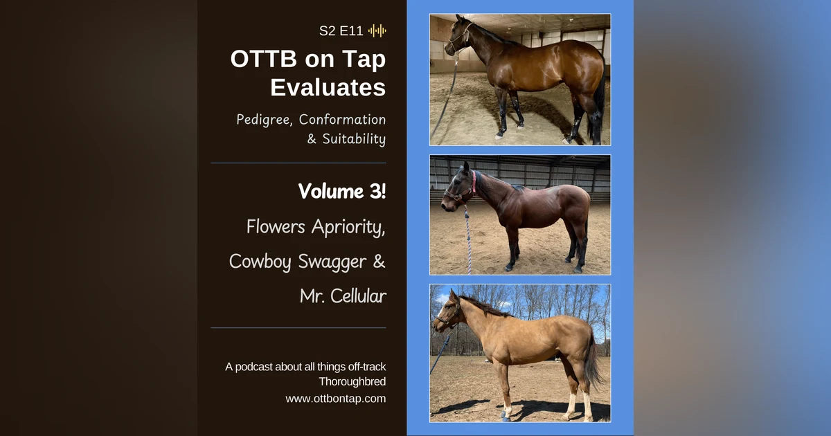 S2E11: OTTB on Tap Evaluates Vol 3 - Flowers Apriority, Cowboy Swagger and Mr. Cellular