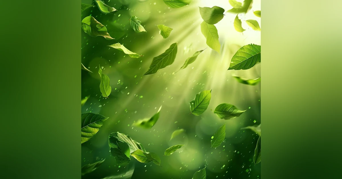 Wind Light Breeze Leaves Sounds Stress Reduction, Improved Sleep Quality, Enhanced Focus and Concentration, Anxiety Relief, Enhanced Meditation and Mindfulness Practices, Connection to Nature, Cognitive Benefits