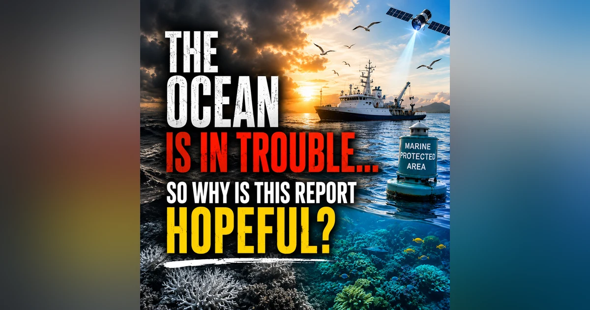 The Ocean Is in Trouble, So Why Is This Report Hopeful?