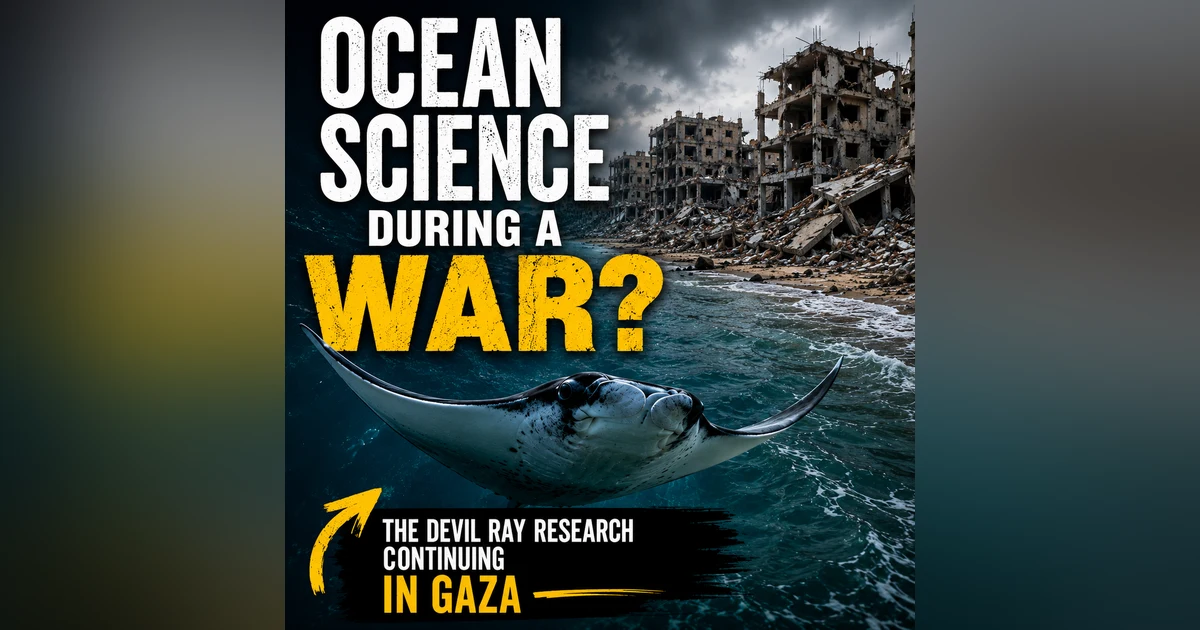 What Happens to Ocean Science During a War?
