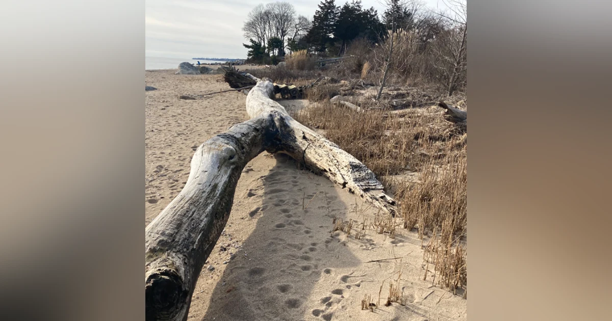 Lent 2025 Reflection