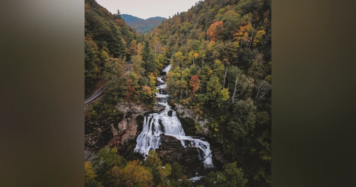 Mountain True: Championing resilient forests, clean waters, and healthy communities, with Josh Kelly