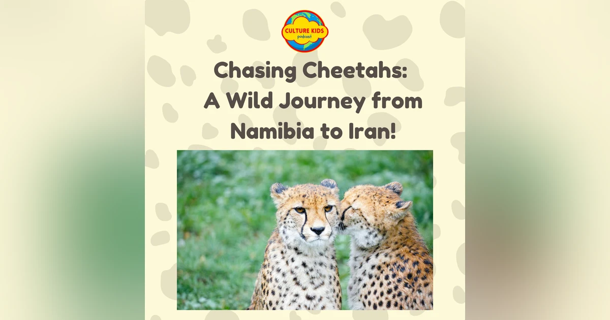 Chasing Cheetahs: A Wild Journey from Namibia to Iran!