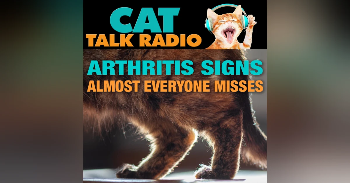 Arthritis in Cats: It's Not Just Old Age