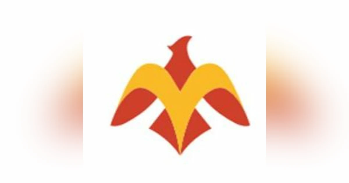 Episode 14 - Phoenix Concussion Recovery (Chronic Pain, Part 1/3)