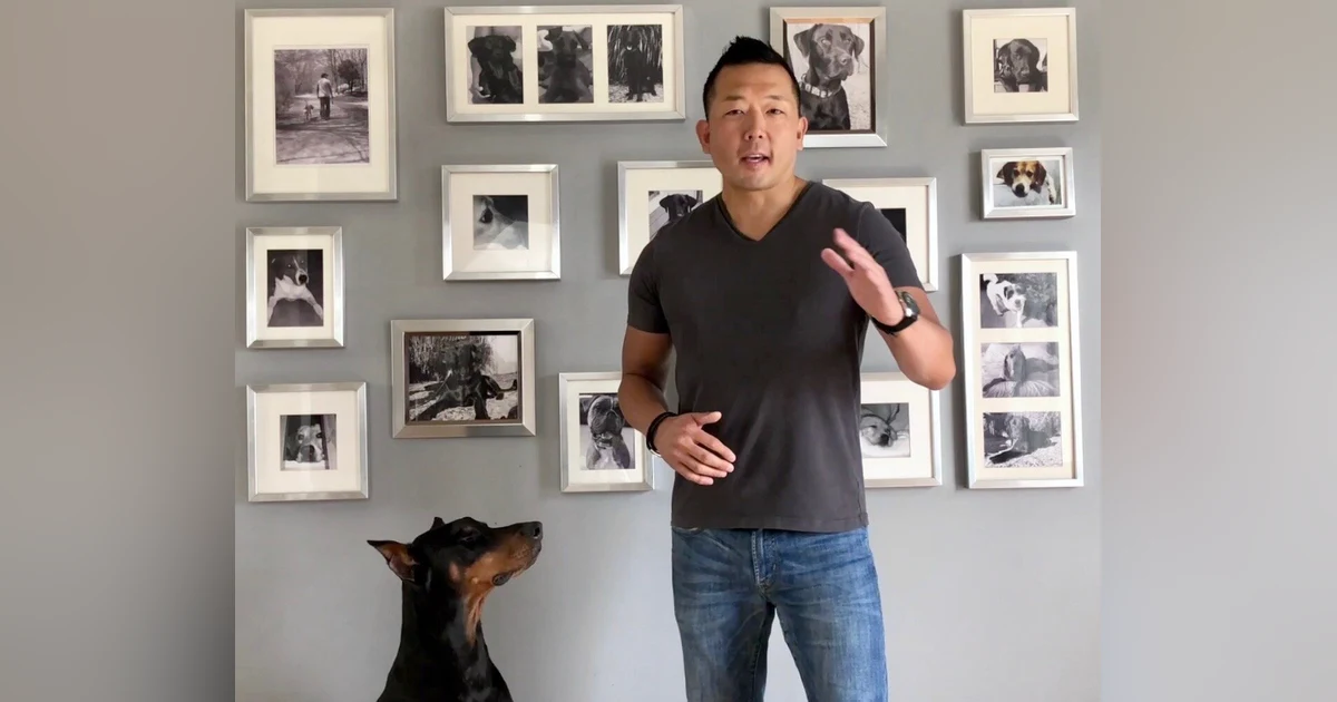 Preventing Puppy Aggression with Michael Shikashio