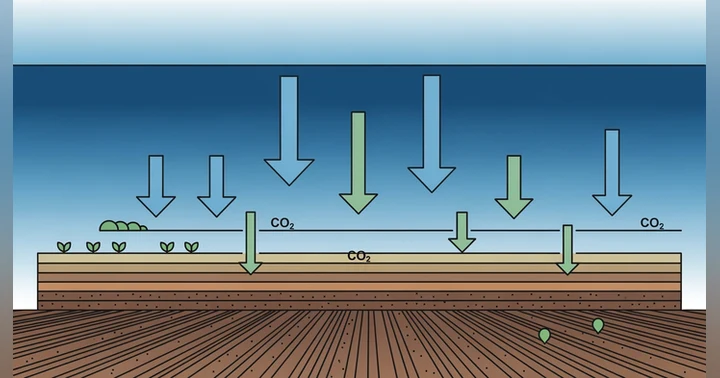 image for Carbon Farming & regenerative Landwirtschaft – Chancen, Kosten und Realität