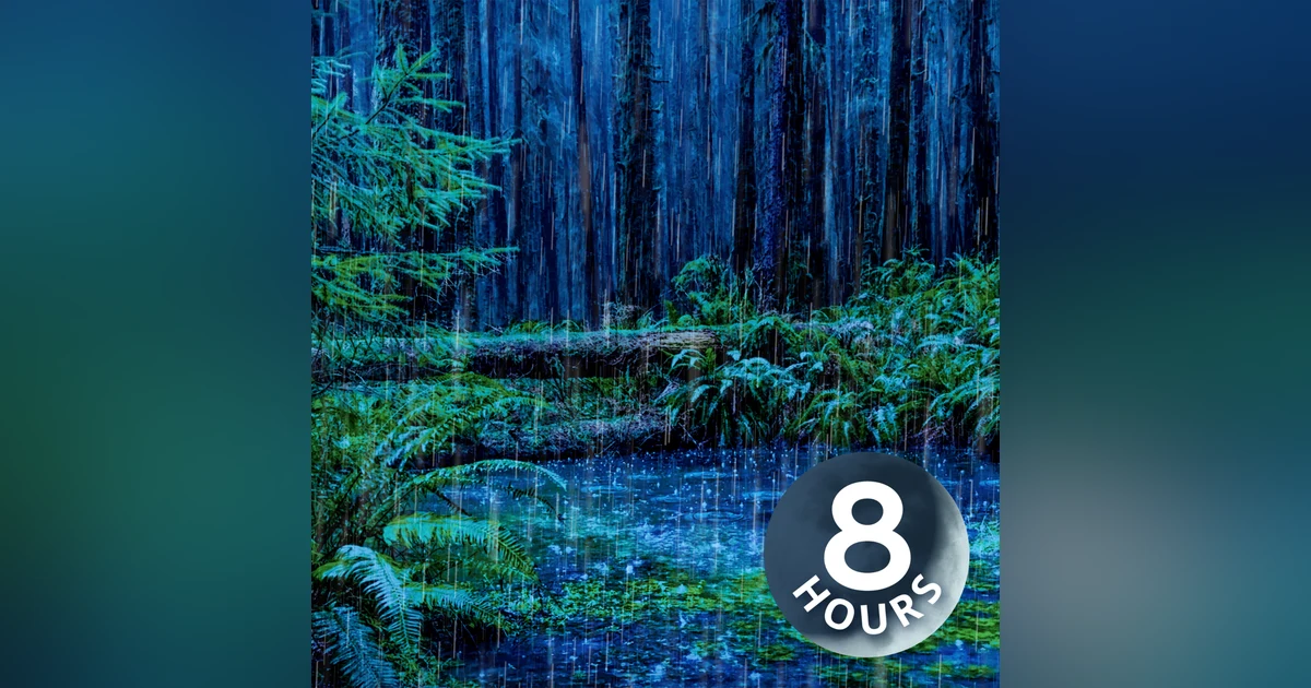 Rain Sleep Noise & Forest Stream | 8 Hour Rain + Water Sounds for Sleeping