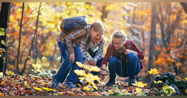 image for Learning from Our Little Ones: Lessons in Motherhood