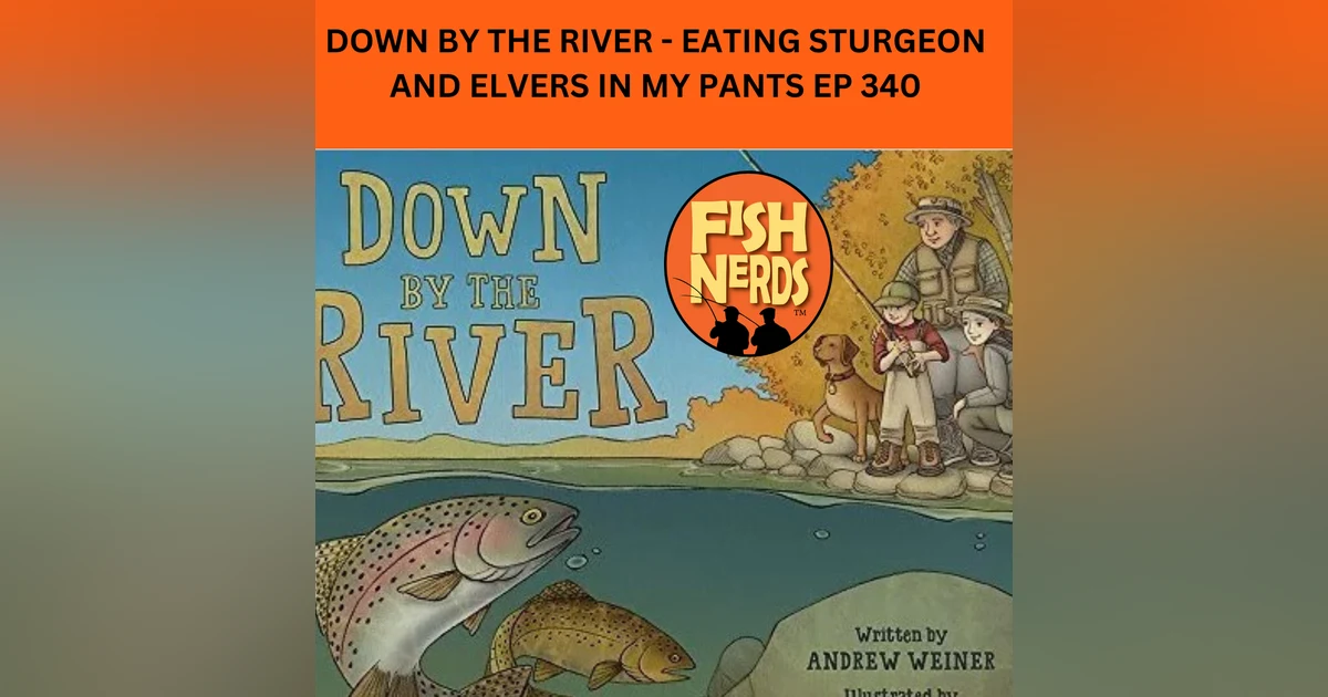 DOWN BY THE RIVER - EATING STURGEON AND ELVERS IN MY PANTS EP 340