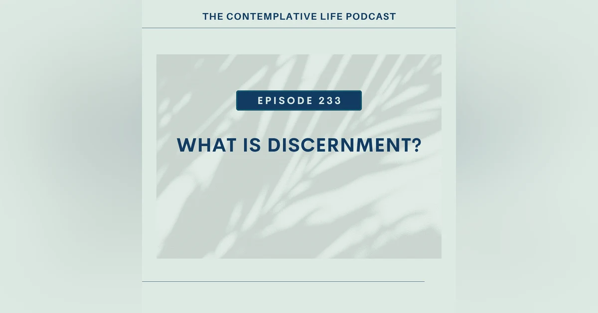 E 233  What Is Discernment?
