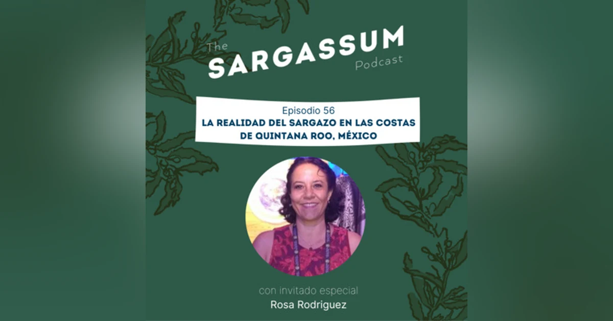E56 La realidad del sargazo en las costas de Quintana Roo, México