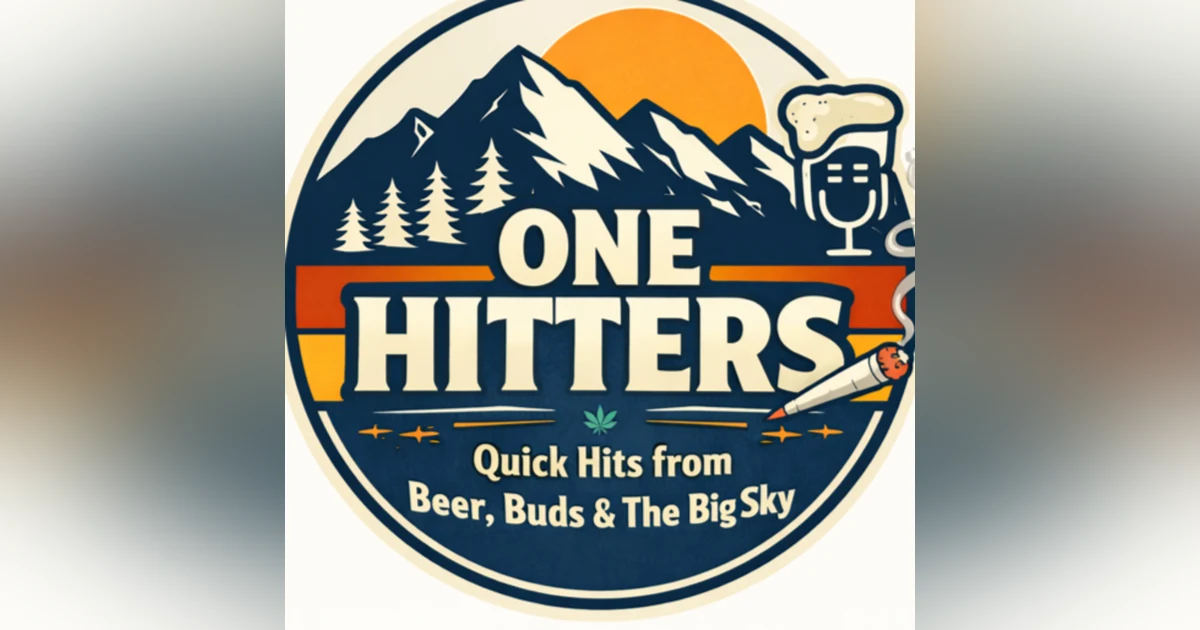 BBB" One Hitter": Adrianne Marsh on Rural Voters, AI Fears, and Democratic Messaging
