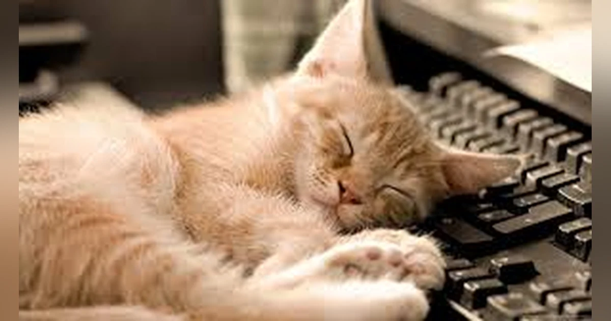 How to Take a Power Nap (National Napping Day)