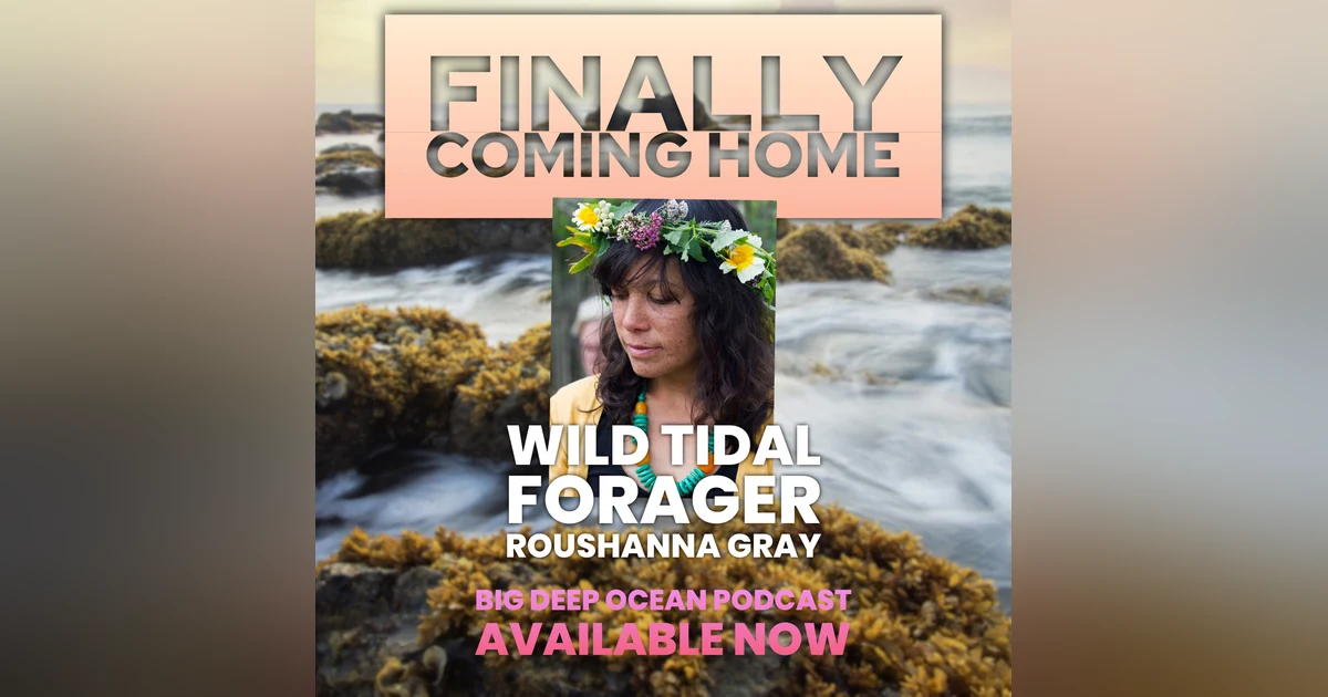 Finally Coming Home: Ocean Forager Roushanna Gray's Culinary Journey Through South African Tidepools