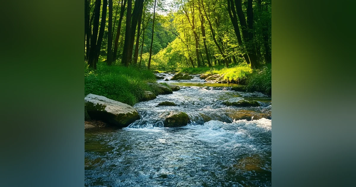 8 HOURS OF RELAXING NATURE SOUNDS AND GENTLE BIRDSONG
