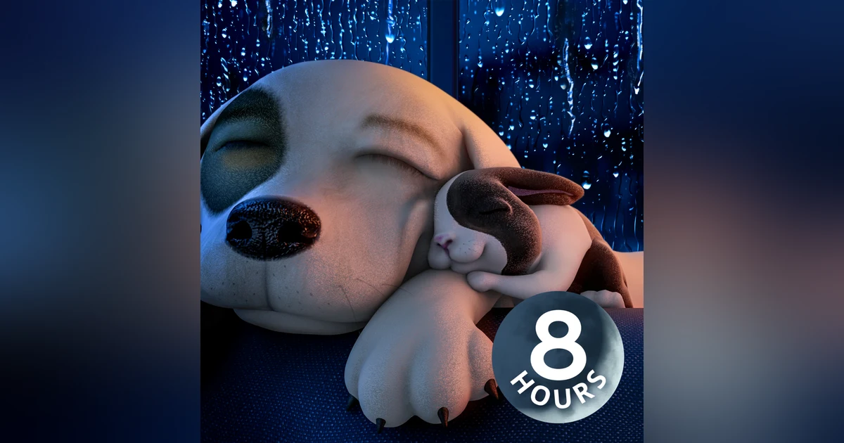 Does Your Dog Have Separation Anxiety? Calm Your Dog with 8-Hour Relaxing Rain Noise