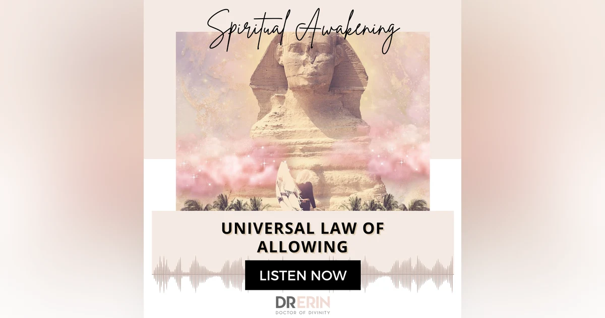 UNIVERSAL LAW OF ALLOWING {20 OF 52 SERIES}