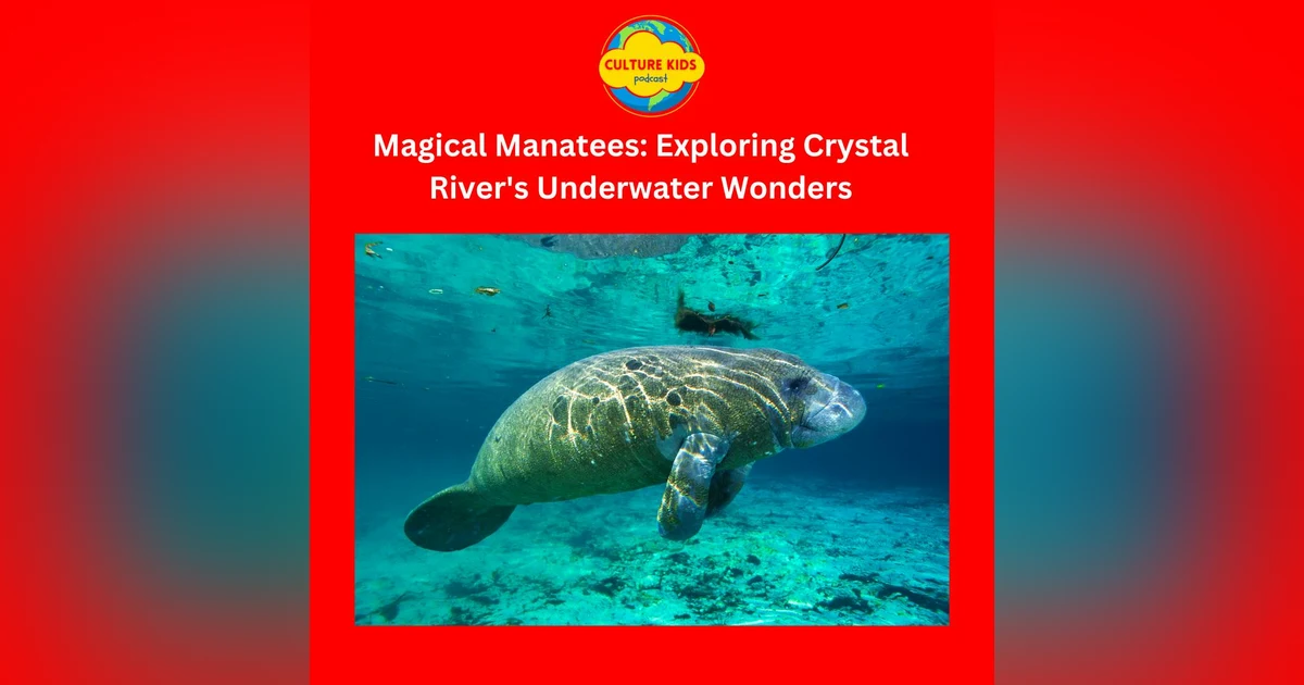 [ARCHIVE EPISODE] Magical Manatees: Exploring Crystal River's Underwater Wonders