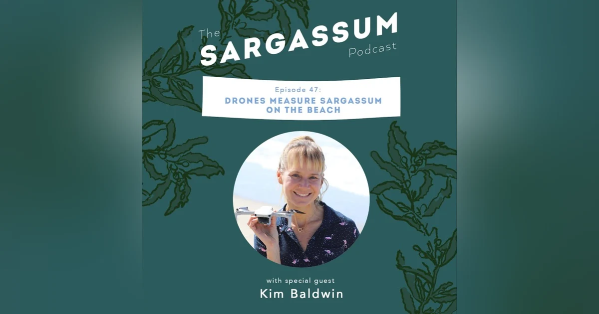 Sargassum podcast Ep 47: How drones can help quantify Sargassum with Kim Baldwin