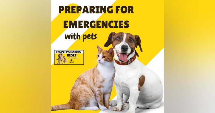 image for Preparing For Emergencies With Pets