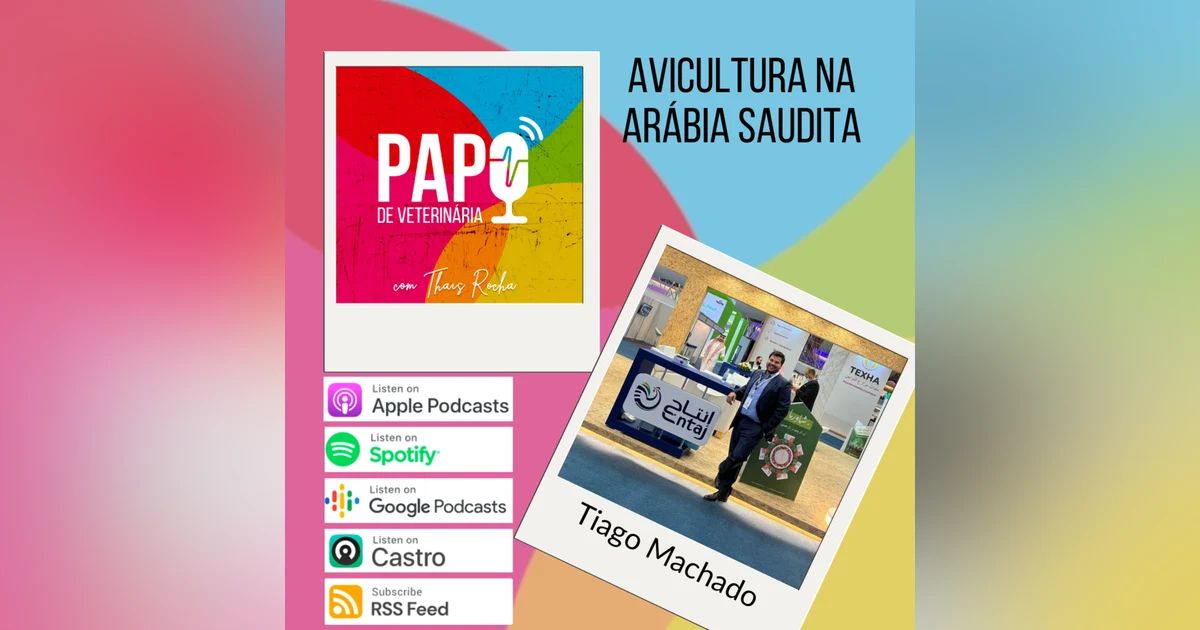 Avicultura na Arábia Saudita, com Tiago Machado