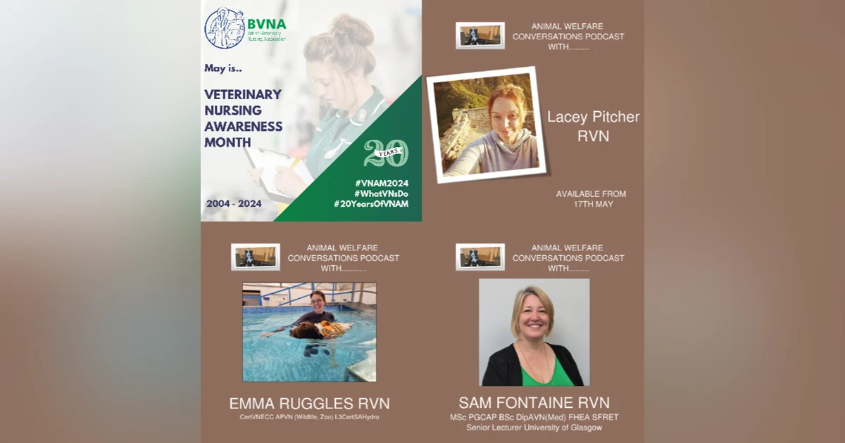 Sneak Preview - Vet Nursing Awareness Month