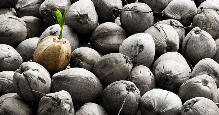 image for Differentiate or Die: Navigating the Landscape of Higher Education
