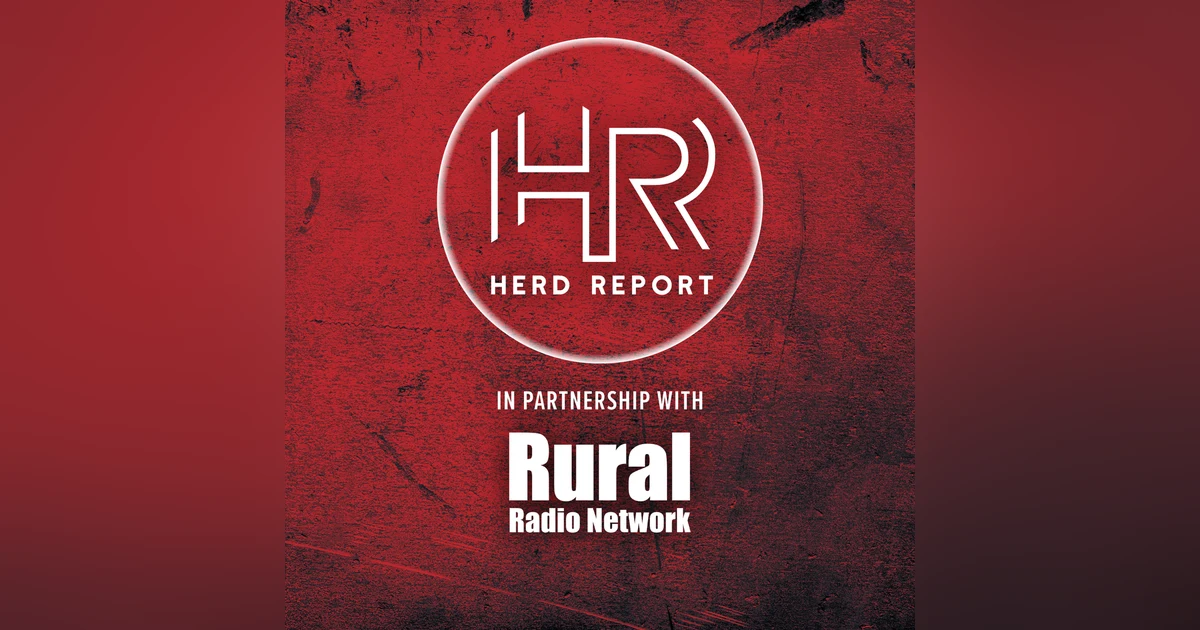 Stock Angus Bull Sale Preview | Seth & Katie Stock | Herd Report Spotlight