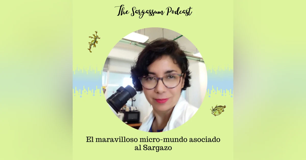 Ep.18: Sargazo como imán para la biodiversidad marina con Dr. Verónica Monroy.
