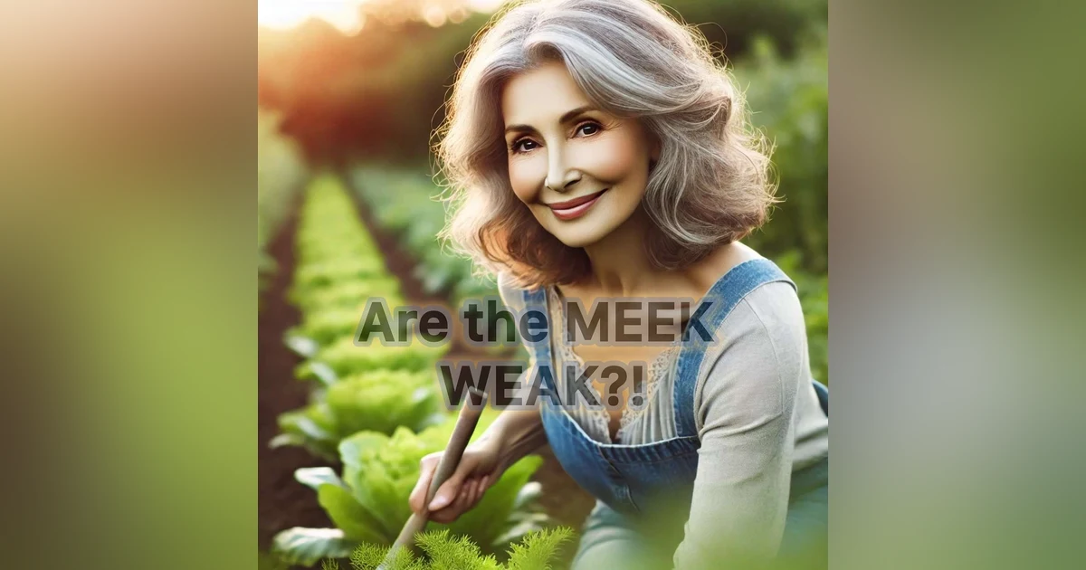 Jesus Said What?!  Meek + Weak?!