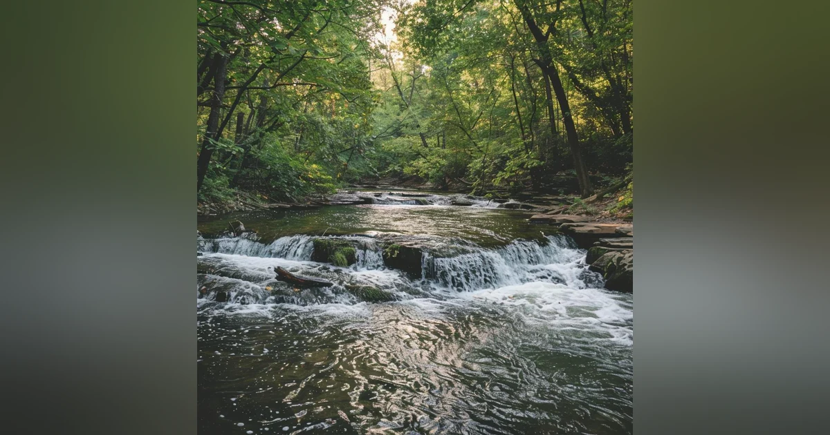 River Sounds For Stress Reduction, Improved Sleep Quality, Enhanced Concentration And Focus, Anxiety Relief, Enhanced Meditation And Mindfulness Practices, Connection To Nature