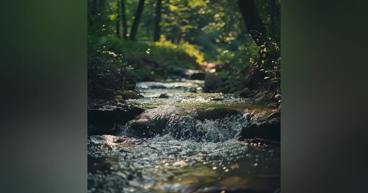 Gentle Stream Sounds | Relaxing Stream Sounds use for Relaxation, Sleep, insomnia