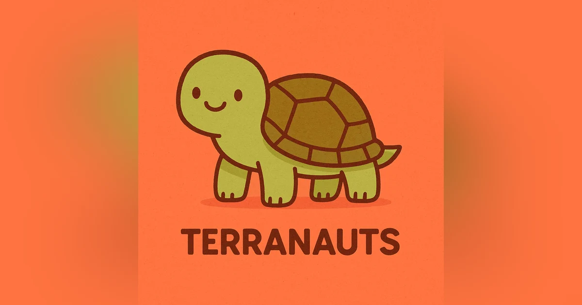 !Tortugas marinas!