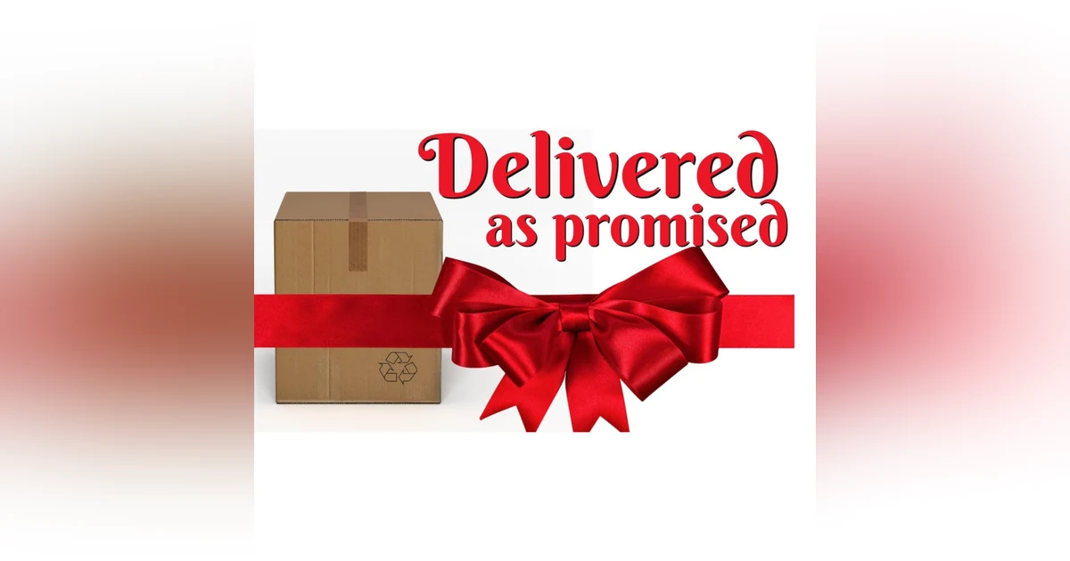 Joy - Delivered As Promised | Real Life Christmas Celebration