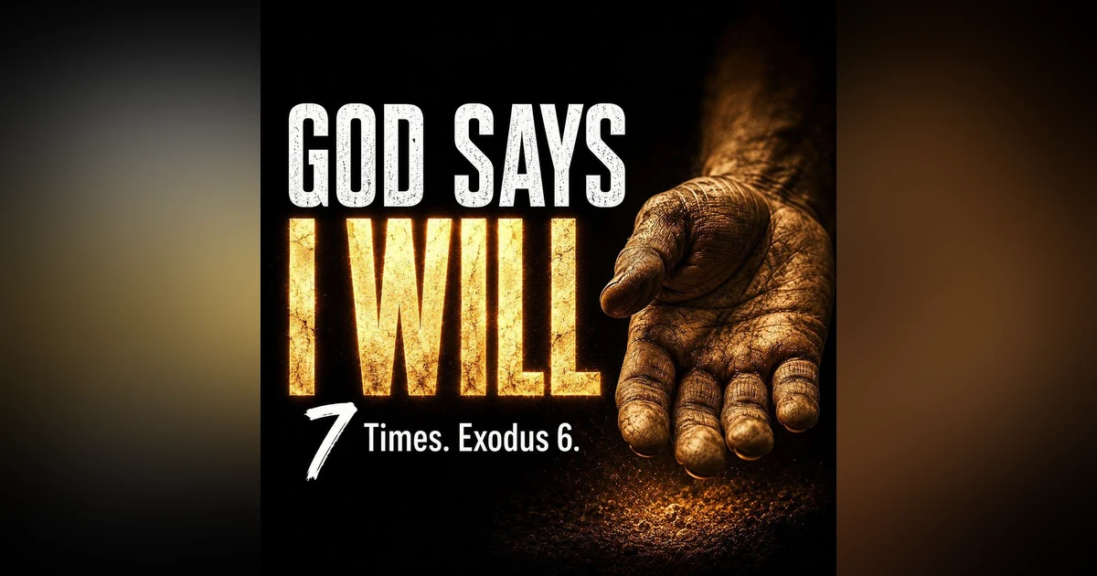 The Seven I WILLS