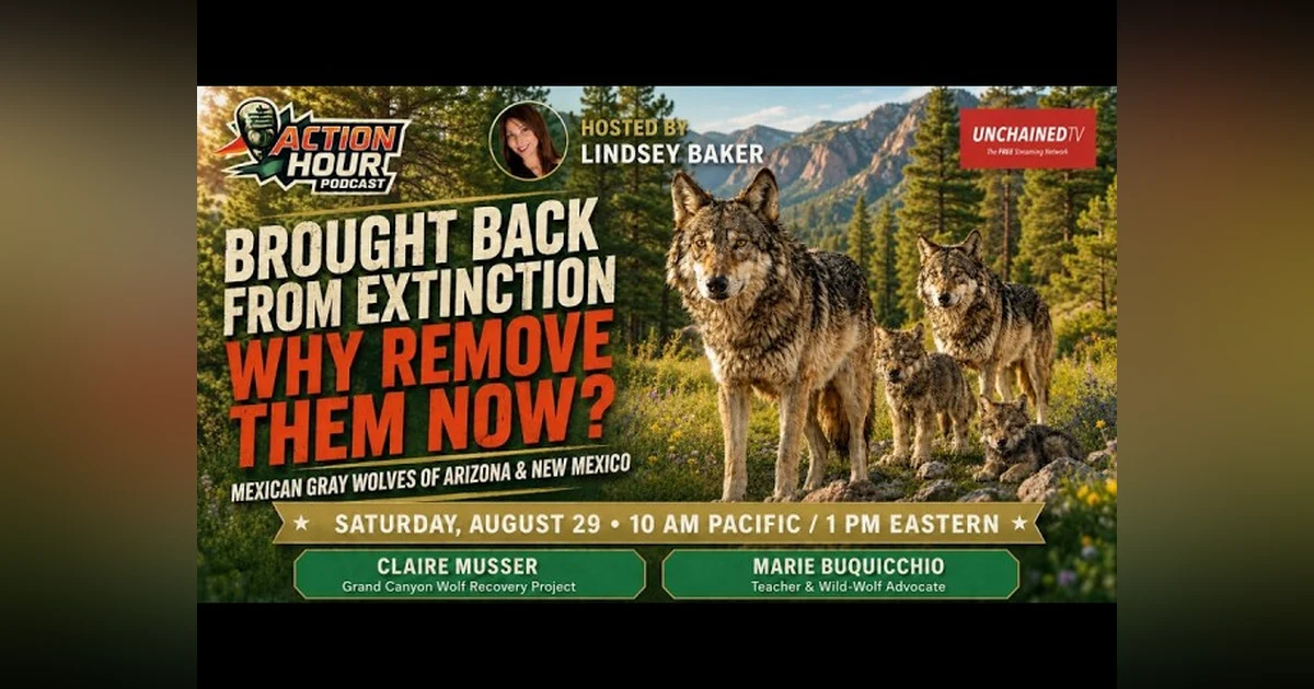 BROUGHT BACK FROM EXTINCTION WHY REMOVE THEM NOW?