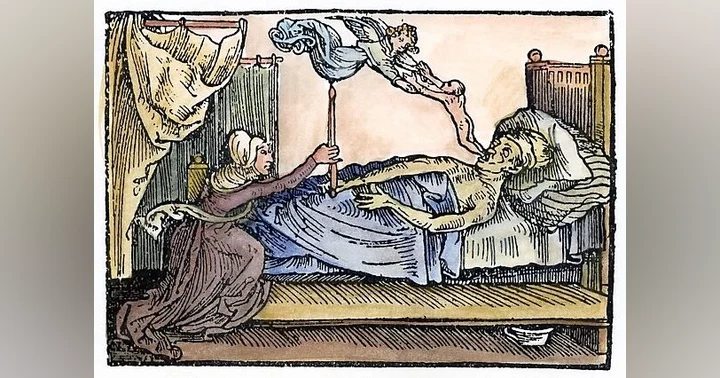 image for The Breath of Life: Exploring the Origins, Physiology, and Mysteries of the Soul