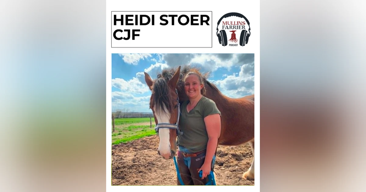 Heidi Stoer CJF