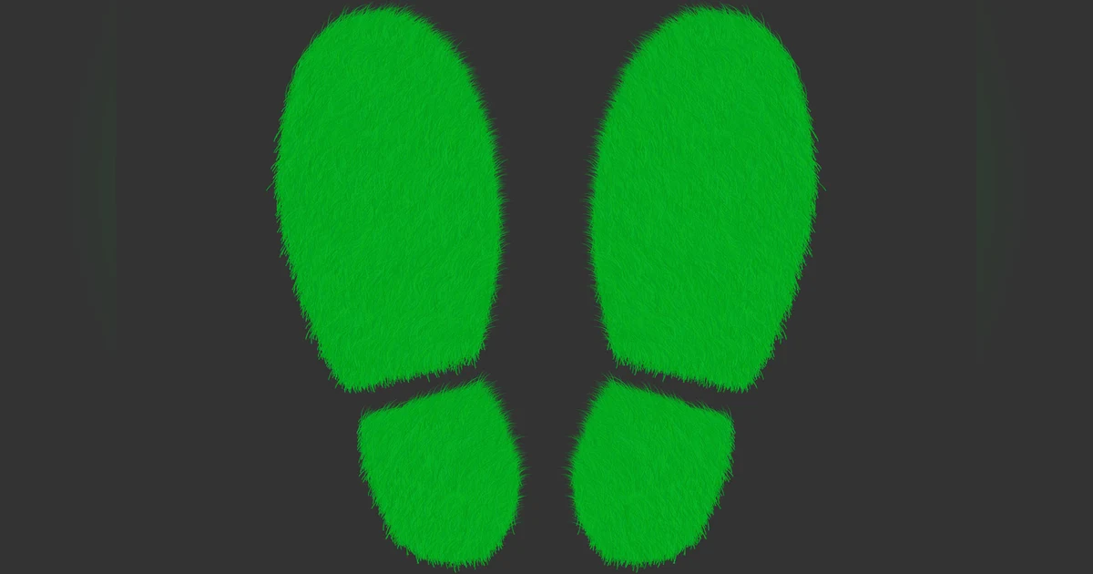 Episode 19: Sustainable?