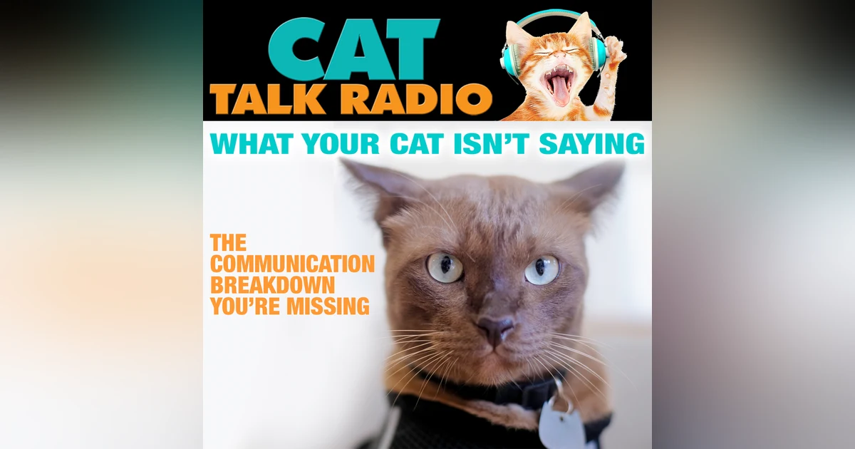 What Your Cat Isn't Saying: The Communication Breakdown You're Missing