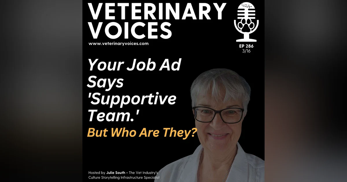 Your Job Ad Says 'Supportive Team.' But Who Are They? - ep 286