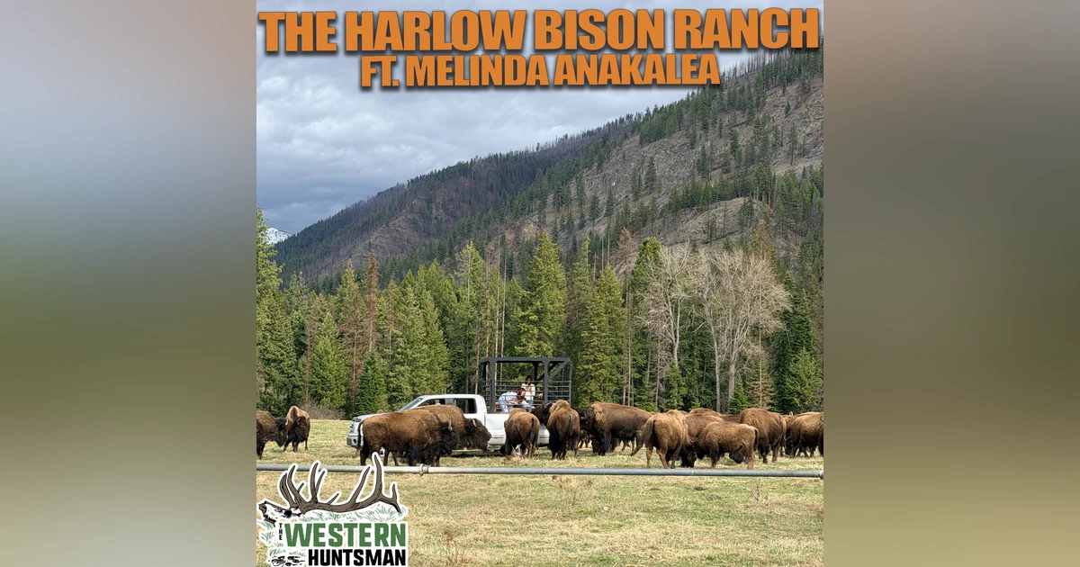 Ep. 256 | The Harlow Bison Ranch with Melinda Anakalea