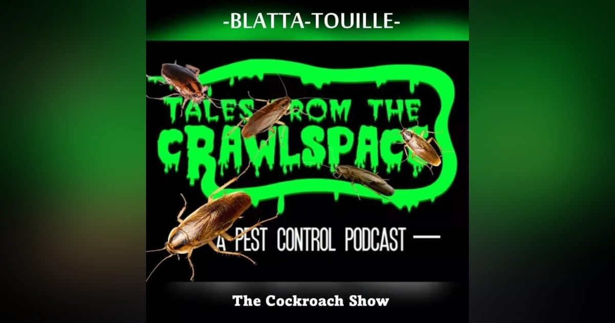 Blatta~Touille: The Cockroach Episode