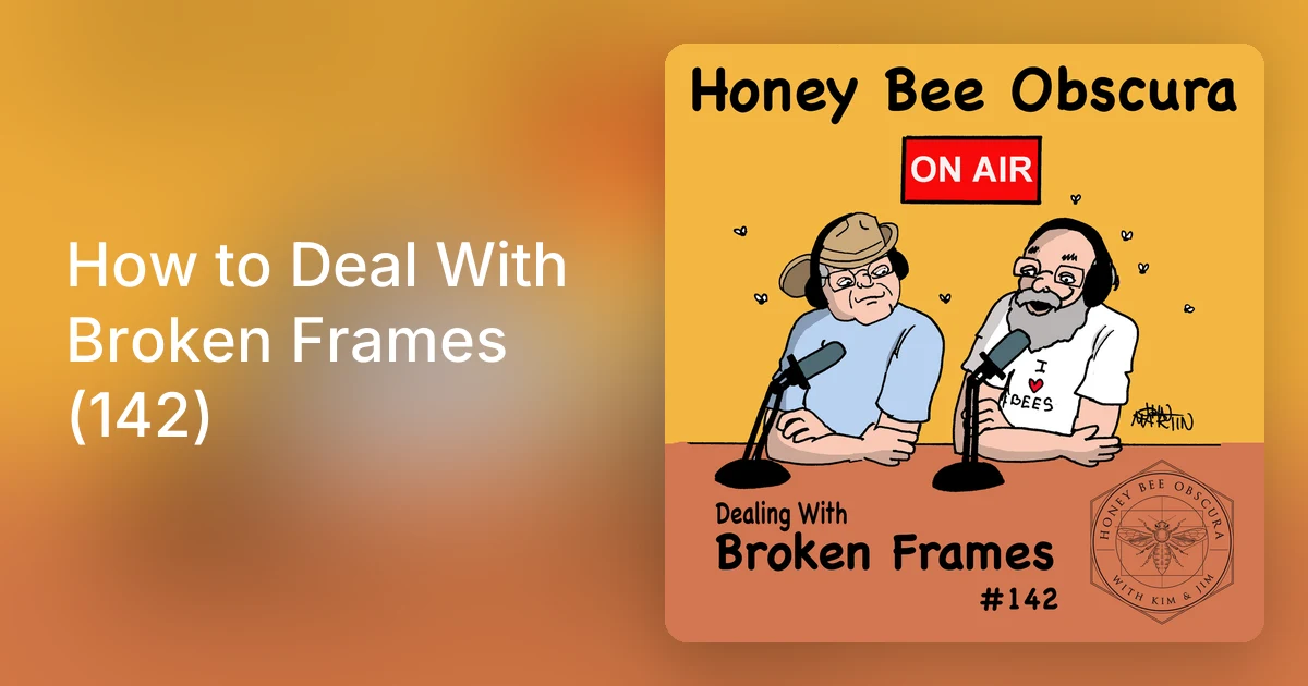 How to Deal With Broken Frames (142)