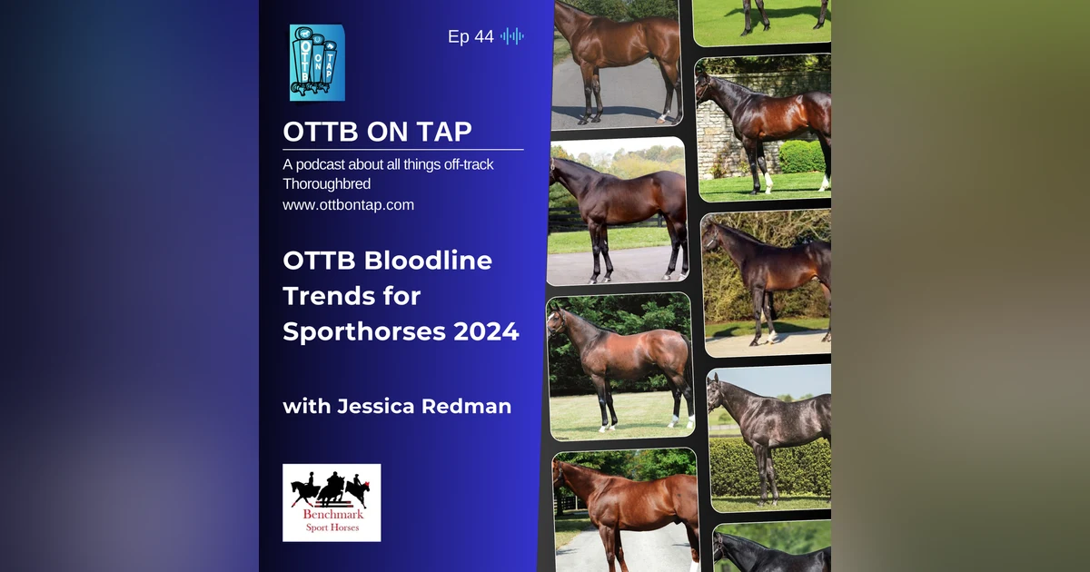 Ep 44: OTTB Bloodline Trends for Sporthorses 2024 with Jessica Redman