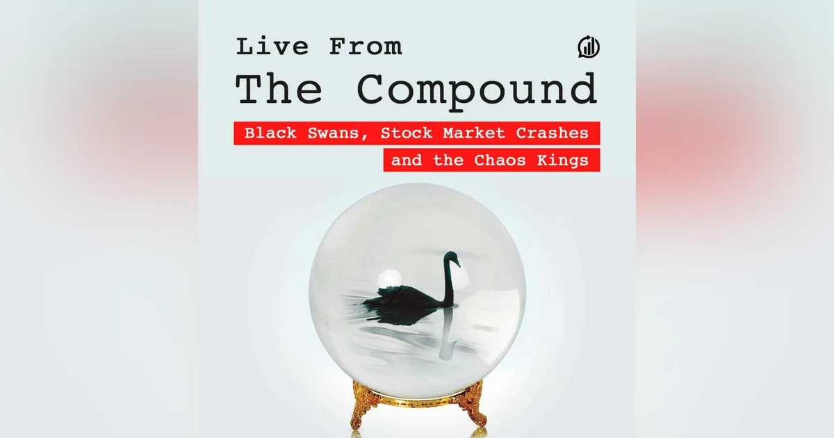 Black Swans, Stock Market Crashes and the Chaos Kings