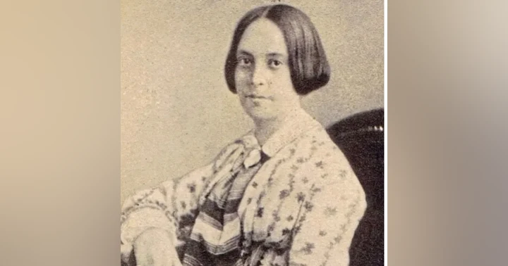 image for A Mysterious Marriage: The Tale of Dr. Charles Langley and Ellen Poe Langley
