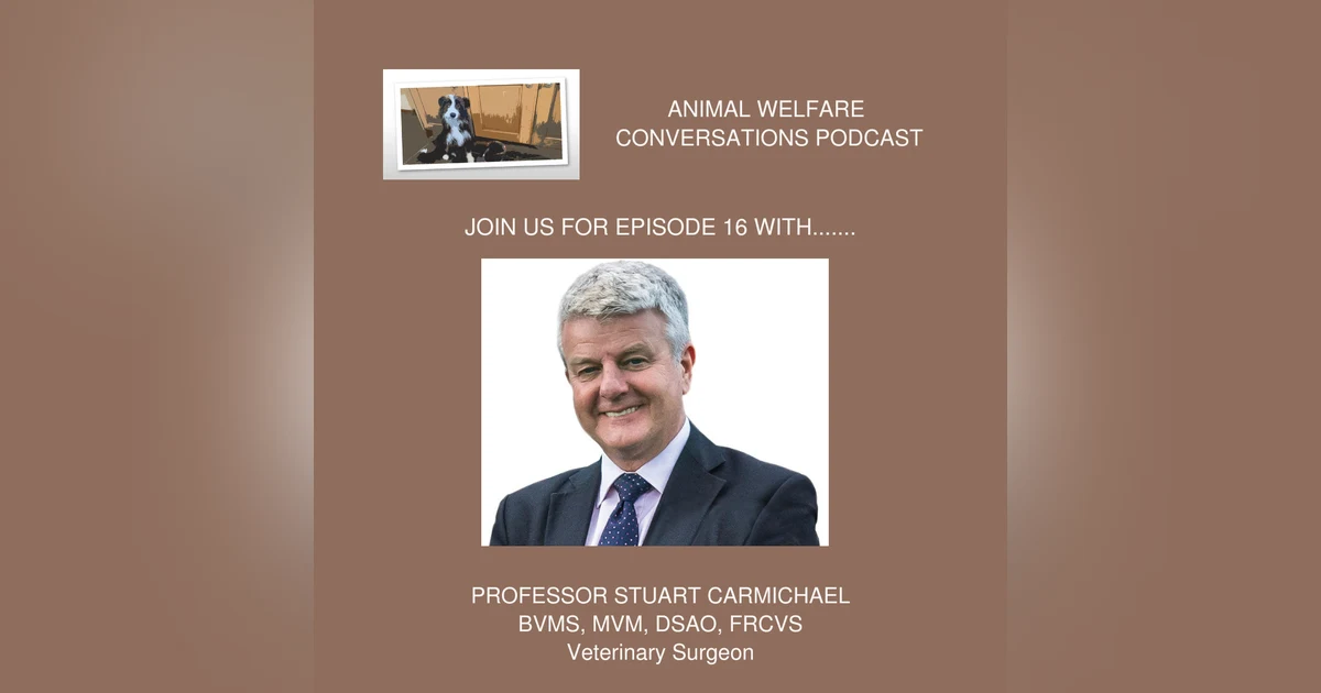 Episode 16 - Prof Stuart Carmichael - The impact of arthritis on animal welfare